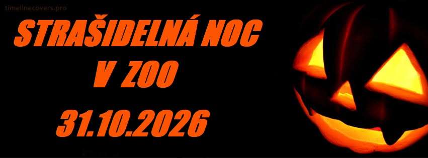 STRAŠIDELNÁ NOC V ZOO 31. 10.